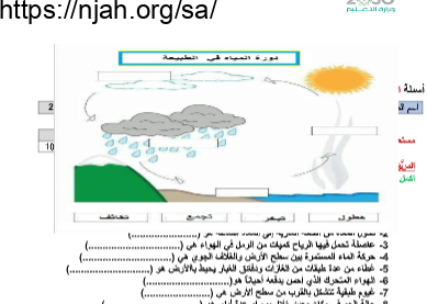 أسئلة علوم ثالث ابتدائي الفصل الثاني