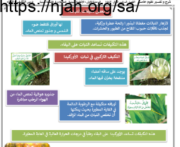 التكيف والبقاء (تكيفات النباتات) علوم خامس ابتدائي الفصل الاول