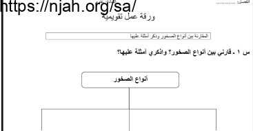 ورقة عمل المقارنة بين أنواع الصخور علوم رابع ابتدائي الفصل الثاني