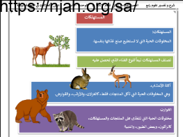 المستهلكات علوم رابع ابتدائي الفصل الثاني