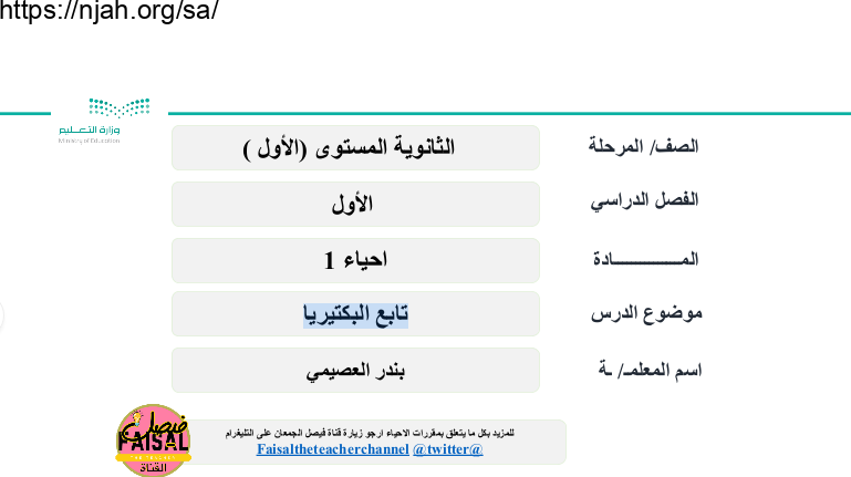 بوربوينت درس تابع البكتيريا  أ/بندر العصيمي