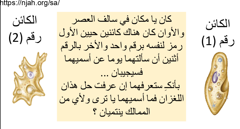 بوربوينت درس تنوع الطلائعيات أ / ريحانه و أ / أسماء