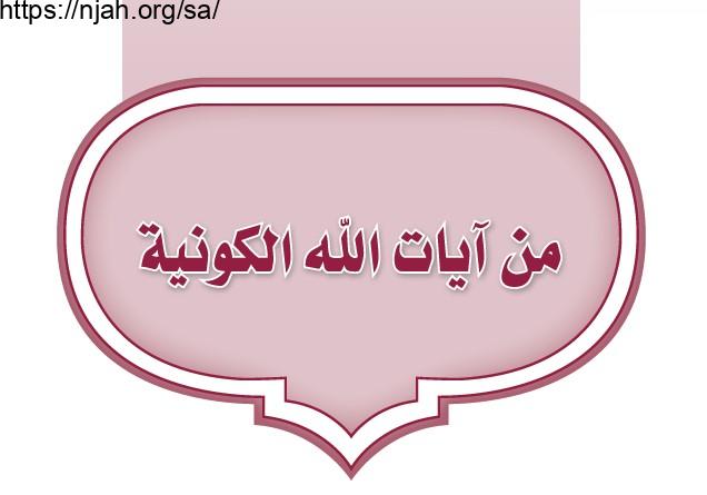 حل الوحدة الثالثة من آيات الله الكونية تفسير ثاني متوسط الفصل الثاني