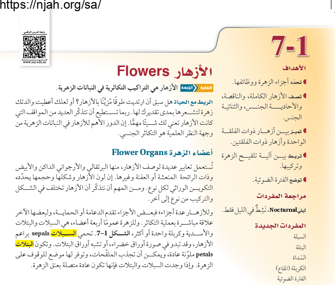 حل درس الأزهار أحياء 2-1 ثاني ثانوي مسارات