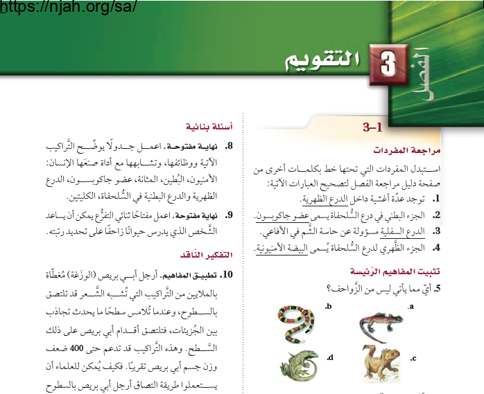 حل مراجعة الفصل الثالث الزواحف والطيور أحياء 2-1 ثاني ثانوي مسارات