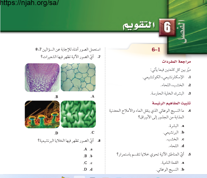 حل مراجعة الفصل السادس تركيب النبات ووظائف أجزائه أحياء 2-1 ثاني ثانوي مسارات