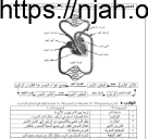 درس جهاز الدوران و المناعة علوم ثاني متوسط فصل ثاني