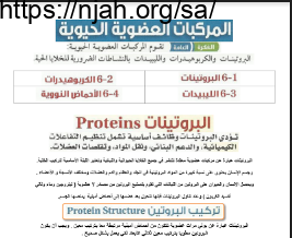 مذكرة الفصل السادس المركبات العضوية الحيوية مقرر كيمياء 4