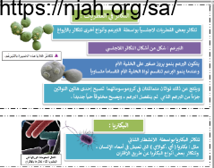 ملخص درس التكاثر في الفطريات و البكتيريا علوم سادس ابتدائي الفصل الاول