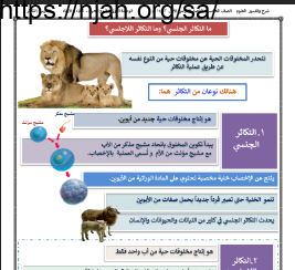 ملخص درس التكاثر (ما التكاثر الجنسي؟ وما التكاثر اللاجنسي؟)علوم خامس ابتدائي الفصل الاول