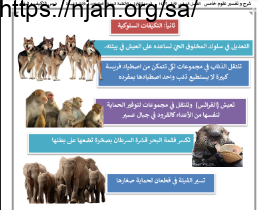 ملخص درس التكيفات السلوكية علوم خامس ابتدائي الفصل الاول