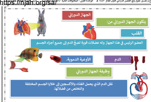 ملخص درس الجهاز الدوري و الاخراجي علوم رابع ابتدائي الفصل الاول