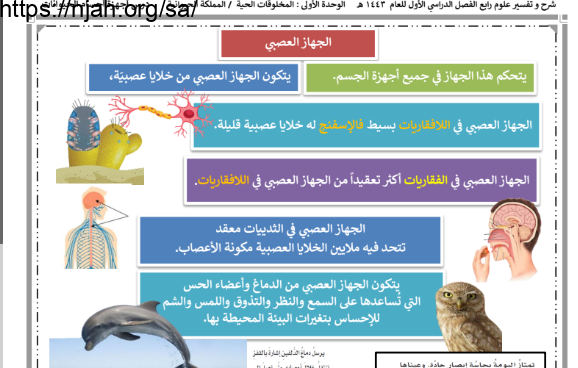 ملخص درس الجهاز العصبي و التنفسي علوم رابع ابتدائي الفصل الاول