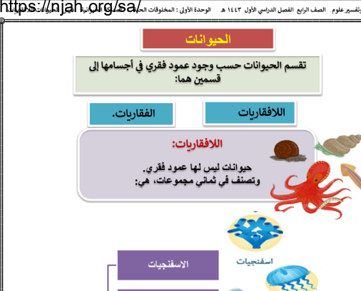 ملخص درس الحيوانات اللافقاريات (الحيوانات) علوم رابع ابتدائي الفصل الاول