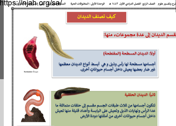 ملخص درس الحيوانات اللافقاريات (كيف تصنف الديدان) علوم رابع ابتدائي الفصل الاول