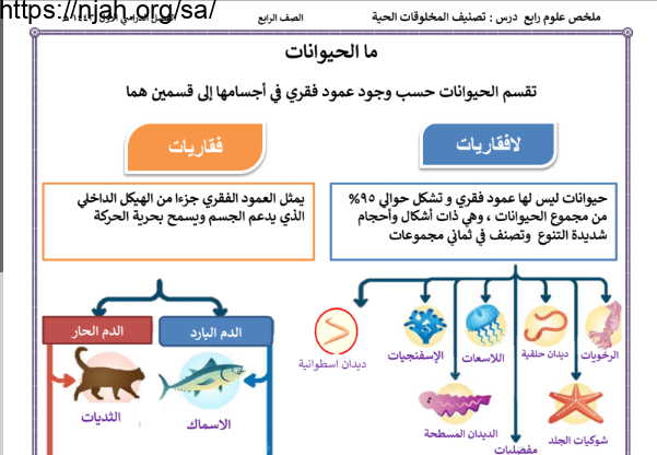 ملخص درس الحيوانات علوم رابع ابتدائي الفصل الاول