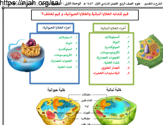 ملخص درس الخلايا (فيم تتشابه الخلايا النباتية والخلايا الحيوانية، و فيم تختلف؟) علوم رابع ابتدائي الفصل الاول