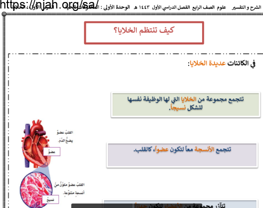 ملخص درس الخلايا (كيف تنتظم الخلايا؟) علوم رابع ابتدائي الفصل الاول