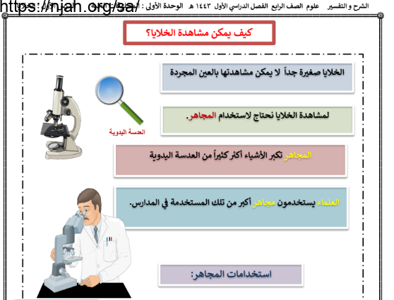 ملخص درس الخلايا (كيف يمكن مشاهدة الخلايا؟) علوم رابع ابتدائي الفصل الاول