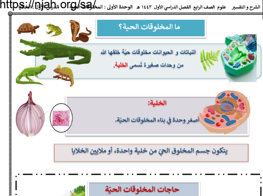 ملخص درس الخلايا (ما المخلوقات الحية؟) علوم رابع ابتدائي الفصل الاول