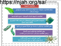 ملخص درس الطلائعيات المجهرية و البكتيريا علوم سادس ابتدائي الفصل الاول