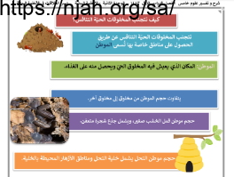 ملخص درس العلاقات في الأنظمة البيئية (كيف تتجنب المخلوقات الحيّة التنافس؟) علوم خامس ابتدائي الفصل الاول