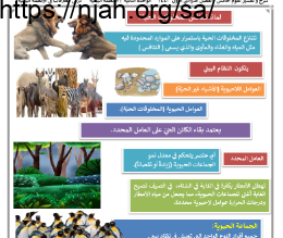 ملخص درس العلاقات في الأنظمة البيئية (لماذا تتنافس المخلوقات الحيّة؟) علوم خامس ابتدائي الفصل الاول