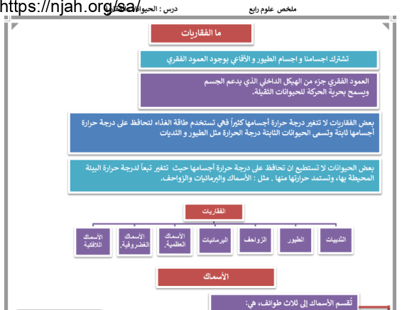 ملخص درس الفقاريات علوم رابع ابتدائي الفصل الاول