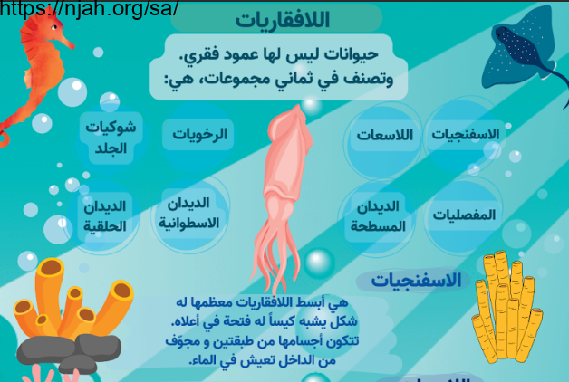 ملخص درس اللافقاريات علوم رابع ابتدائي أ. يوسف سليمان البلوي