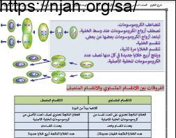 ملخص درس انقسام الخلايا الفروقات ب ر ي النقسام المتساوي والنقسام المنصف علوم سادس ابتدائي الفصل الاول