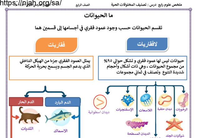 ملخص درس تصنيف المخلوقات الحية رابع ابتدائي الفصل الأول أ. يوسف سليمان البلوي