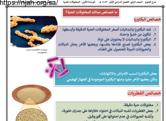 ملخص درس تصنيف المخلوقات الحية (ما خصائص ممالك المخلوقات الحيّة؟) علوم رابع ابتدائي الفصل الاول