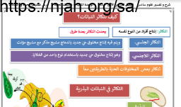 ملخص درس عمليات الحياة في النباتات (كيف تتكاثر النباتات؟) علوم سادس ابتدائي الفصل الاول