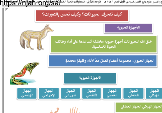 ملخص درس كيف تتحرك الحيوانات؟ علوم رابع ابتدائي الفصل الاول