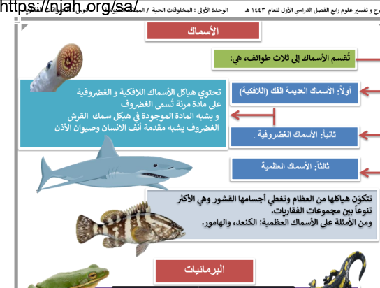 ملخص درس ما الفقاريات (الأسماك) علوم رابع ابتدائي الفصل الاول