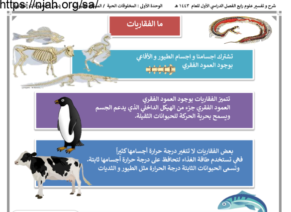 ملخص درس ما الفقاريات (ما الفقاريات) علوم رابع ابتدائي الفصل الاول