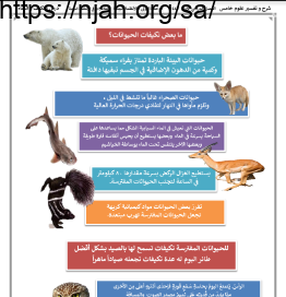 ملخص درس ما تكيفات الحيوانات علوم خامس ابتدائي الفصل الاول