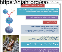 ملخص درس ما دورات الحياة (كيف يحدث الإخصاب في الحيوانات؟) علوم خامس ابتدائي الفصل الاول