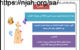 ملخص درس مالتنفس علوم سادس ابتدائي الفصل الاول