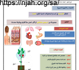 ملخص درس نظرية الخلية علوم سادس (الأعضاء و الأجهزة الحيوية) علوم سادس ابتدائي الفصل الاول