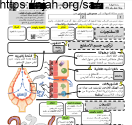 ورقة عمل الاسفنجيات واللاسعات مع الحل مقرر أحياء 1 أ. فيصل الجمعان