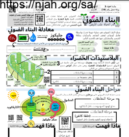 ورقة عمل البناء الضوئي مع الحل مقرر أحياء 3 أ. فيصل الجمعان