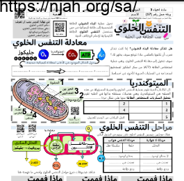 ورقة عمل التنفس الخلوي مع الحل مقرر أحياء 3 أ. فيصل الجمعان