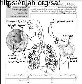 ورقة عمل الجهاز التنفسي مع الحل مقرر أحياء 2 أ. فيصل الجمعان