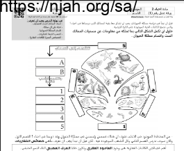 ورقة عمل الفقاريات مع الحل مقرر أحياء 2 أ. فيصل الجمعان