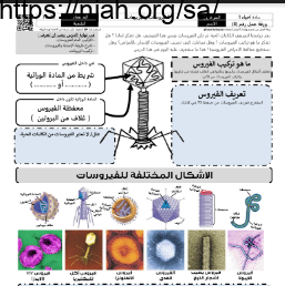 ورقة عمل الفيروسات والبريونات مع الحل مقرر أحياء 1 أ. فيصل الجمعان