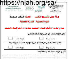 ورقة عمل القوة العضلية القدرة العضلية تربية بدنية ثالث متوسط الفصل الثاني