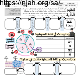 ورقة عمل تنظيم دورة الخلية مع الحل مقرر أحياء 3 أ. فيصل الجمعان