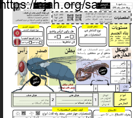 ورقة عمل خصائص المفصليات مع الحل مقرر أحياء 1 أ. فيصل الجمعان