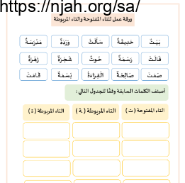 ورقة عمل للتاء المفتوحة والتاء المربوطة لغتي ثاني ابتدائي الفصل الاول